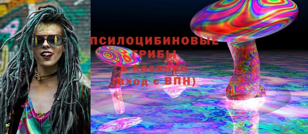 spice Заводоуковск