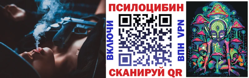 Псилоцибиновые грибы Psilocybine cubensis  Купить где  Бузулук 